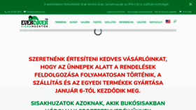 What Sisakhuzat.hu website looked like in 2019 (4 years ago)