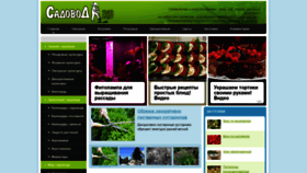What Sadovoda.ru website looked like in 2020 (4 years ago)