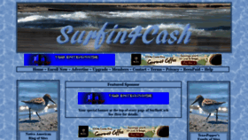 What Surfin4cash.net website looked like in 2020 (4 years ago)