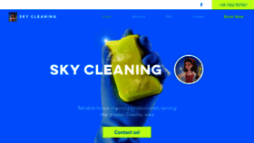 What Skycleaning.org website looked like in 2020 (4 years ago)