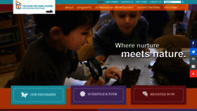 What Schoolforyoungchildren.org website looked like in 2020 (4 years ago)