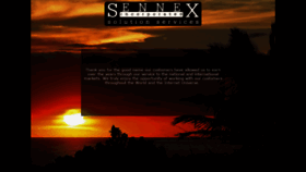 What Sennex.com website looked like in 2020 (4 years ago)