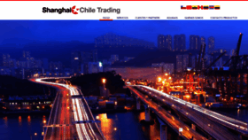 What Shanghaichiletrading.com website looked like in 2020 (4 years ago)