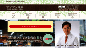 What Seiseki-naika.com website looked like in 2020 (4 years ago)