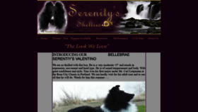 What Serenitysshelties.com website looked like in 2020 (4 years ago)