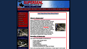 What Shotcretedrainagestructuresmembranes.com website looked like in 2020 (4 years ago)