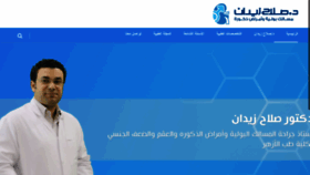 What Salahzedan.com website looked like in 2020 (4 years ago)