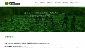 What Sapporotaikyuu.fun website looked like in 2020 (4 years ago)