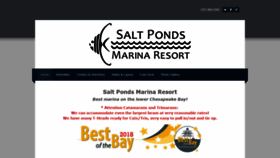 What Saltpondsmarinaresort.com website looked like in 2020 (4 years ago)