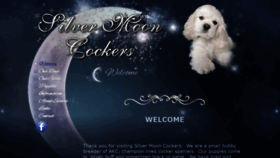 What Silvermooncockers.com website looked like in 2020 (4 years ago)