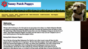 What Sunnypatchpuppys.com website looked like in 2020 (4 years ago)