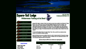 What Squaretaillodge.com website looked like in 2020 (4 years ago)