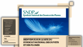 What Syndicat-duvets-plumes.fr website looked like in 2020 (4 years ago)