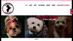 What Smalldogrescuene.org website looked like in 2020 (4 years ago)