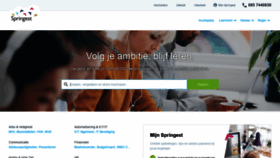 What Springest.nl website looked like in 2020 (5 years ago)