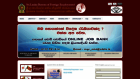 What Slbfe.lk website looked like in 2020 (4 years ago)