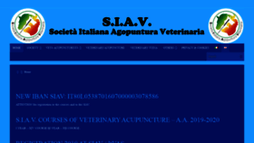 What Siav-itvas.org website looked like in 2020 (4 years ago)