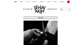 What Senayakin.com website looked like in 2020 (4 years ago)