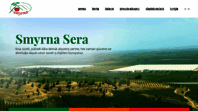 What Smyrnasera.com.tr website looked like in 2020 (4 years ago)