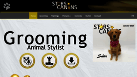 What Starscanins.com website looked like in 2020 (4 years ago)