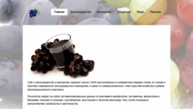 What Sortov.net website looked like in 2020 (4 years ago)