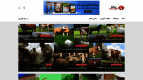 What Sarafraz-hezarmasjed.ir website looked like in 2020 (4 years ago)