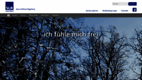 What Slr.ch website looked like in 2020 (4 years ago)