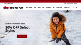 What Seekairun.com website looked like in 2020 (4 years ago)