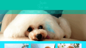 What Starsea.jp website looked like in 2020 (4 years ago)