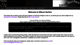 What Siliconsurfers.com website looked like in 2020 (4 years ago)