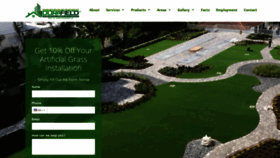 What Syntheticlawnsflorida.com website looked like in 2020 (4 years ago)