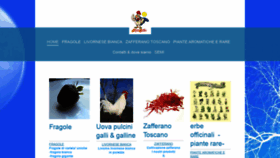 What Supergallo.net website looked like in 2020 (4 years ago)