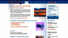 What Solnicka.eu website looked like in 2020 (4 years ago)