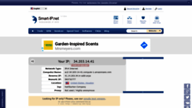 What Smart-ip.net website looked like in 2020 (4 years ago)