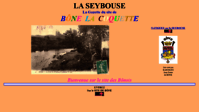 What Seybouse.info website looked like in 2020 (4 years ago)
