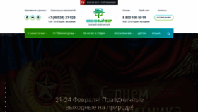What Sosnovobor.ru website looked like in 2020 (4 years ago)