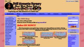 What Stillmomentsnursery.com website looked like in 2020 (4 years ago)