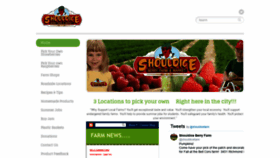 What Shouldicefarm.com website looked like in 2020 (4 years ago)