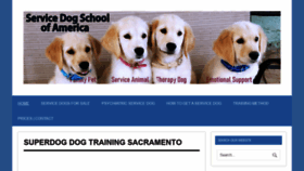 What Superdog.com website looked like in 2020 (4 years ago)