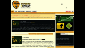 What Steagu.ro website looked like in 2020 (4 years ago)