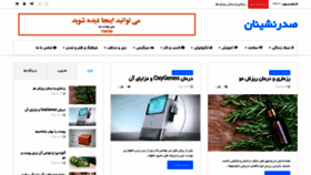 What Sadrneshinan.ir website looked like in 2020 (4 years ago)