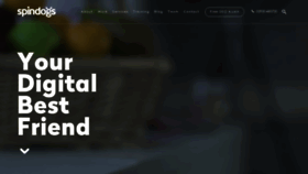 What Spindogs.com website looked like in 2020 (6 years ago)