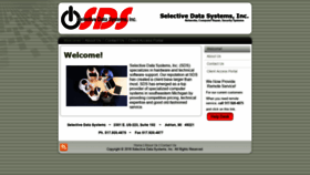 What Selectivedata.com website looked like in 2020 (4 years ago)