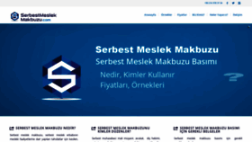 What Serbestmeslekmakbuzu.com website looked like in 2020 (4 years ago)