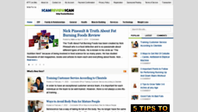 What Scamreviewscan.com website looked like in 2020 (4 years ago)