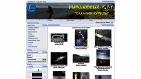 What Sakhriver.ru website looked like in 2020 (4 years ago)