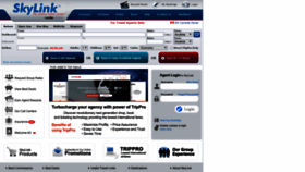 What Skylinkus.com website looked like in 2020 (4 years ago)