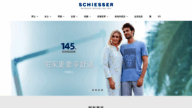 What Schiesser.asia website looked like in 2020 (4 years ago)