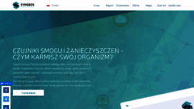 What Syngeos.pl website looked like in 2020 (4 years ago)