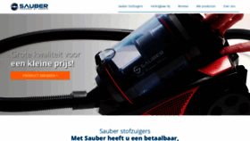 What Saubereurope.com website looked like in 2020 (4 years ago)